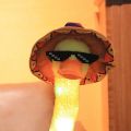 Halloween Lovely Dancing Duck Talking Toy USB Charging Sound Record Repeat Doll Kawaii Duck Kids Education Toys Gift Birthday PresentDolls Accessories. 