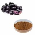 Black Plum Seeds Powder-200 gm. 