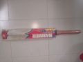 Hammer Cricket Bat. 