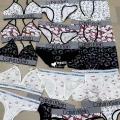 Couple Underwear Set Sanrios Y2K Hello Kitty for Women Men Anime Kawaii Kt Cartoon Hot Girl Underwear Bra Sports Shockproof. 