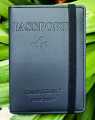 PU Leather Passport cover and card holder.