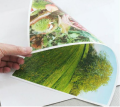 HP Advance Photo Print Paper A4 Size - 20 Sheets.