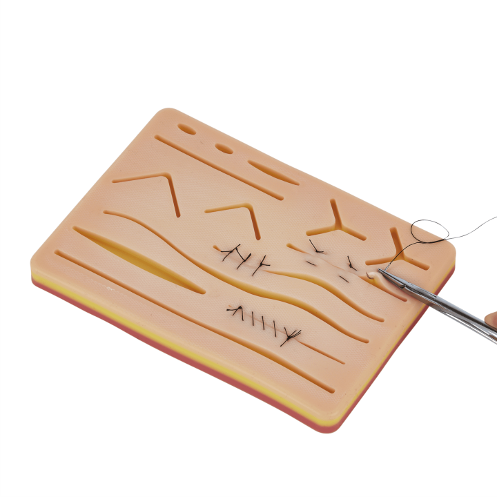 Suture%20Practice%20Kit%20for%20Medical%20and%20Vet%20Students,%20Startup%20Suture%20Kit%20Including%20Silicone%20Pad%20with%20Durable%20Mesh,%20Suturing%20Tools,%20for%20Suture%20Curriculum%20Practice%20(Education%20Use%20Only)%20-%20Image%205
