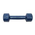 4kg Bangla Dumbbell Blue 1pcs (Not Accurate Weight) - Sports & Fitness. 