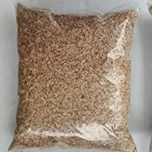 Natural%20Rice%20Husk%205%20kg%20Pure%20and%20Organic%20Husk%20for%20Manure%20and%20Fertilizer%20Rice%20Hulls%20for%20Plants%20and%20Gardening%20Rice%20Paddy%20Husk/Hulls%20for%20Plants%20Grow%20-%20Image%202