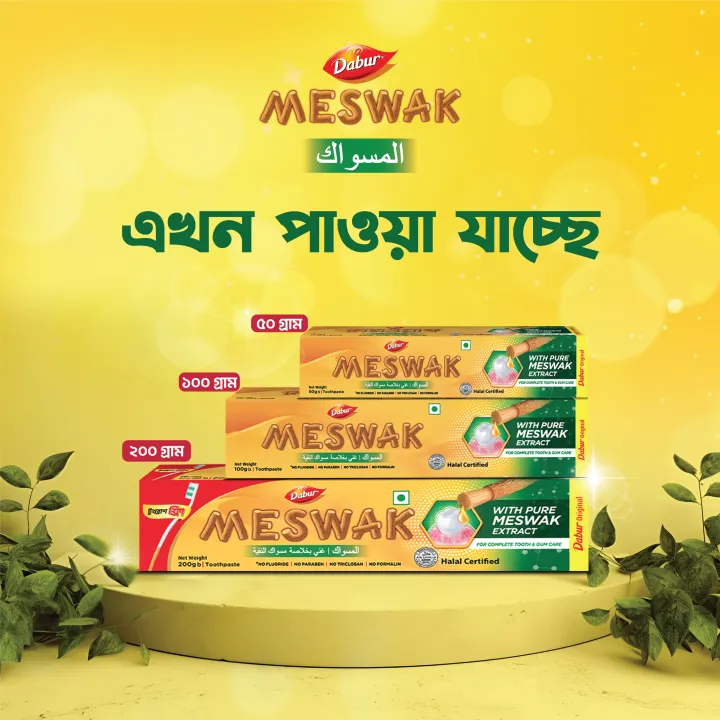 Dabur%20Meswak%20Toothpaste%20190gm%20(Toothbrush%20Free)%20-%20Image%203