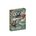 Coral Ice Cream Flavor Latex Condoms 5 Pack Combo 3x5 - 15 pcs Condoms. 