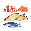 Plush Cat Catnip Fish Toys 18cm Artificial Fish Simulation Stuffed Fish Toy Exquisite for Cats and Kittens Cat Entertaining Toys Interactive.