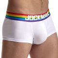 Boxer Men Gay Underwear Ice Silk transparent Mesh Homme Breathable Cuecas Masculinas Calzoncillos Hombre Slip Boxershorts. 