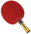 1 pcs Table Tennis Bat Double Fish 6AC - Sports & Fitness.