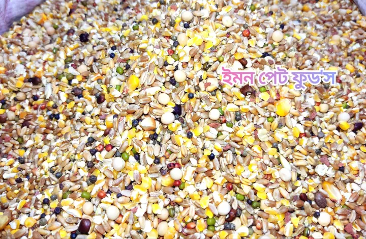 Pigeon%20(Kobutor)%20Premium%20Mixed%20Food%20-%20500gm%20kobutorer%20khabar%20from%20Emon%20pet%20food%20-%20Image%203