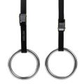 Pack Of Two Pieces Chin Up Ring - Silver - Enjoy Chin Up Exercises With Silver Rings. 