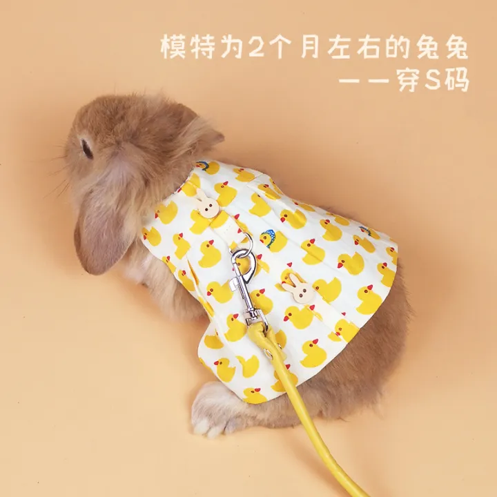 Rabbit%20clothing%20traction%20Dutch%20pig%20with%20drooping%20ears,%20clothing,%20hat%20accessories,%20going%20out%20for%20a%20walk,%20rabbit%20rope,%20little%20yellow%20duck%20-%20Image%203