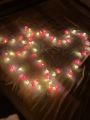80 pieces Rose fairy light set current system. 