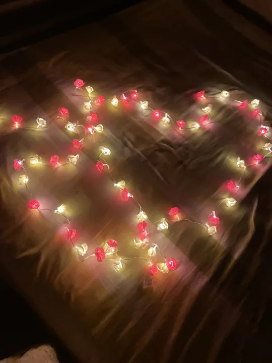 80%20pieces%20Rose%20fairy%20light%20set%20current%20system%20-%20Image%204