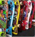 Skate Board - Large - Multi-Color.