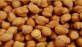 Chola Deshi ( ছোলা বুট ) 500 gm. 