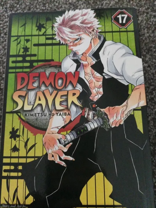Demon%20Slayer:%20Kimetsu%20no%20Yaiba,%20Vol.%2017%20-%20Image%202