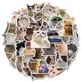 10/50PCS Cat MEME Funny Animals Stickers Vintage Toy DIY Kids Notebook Luggage Motorcycle Laptop Refrigerator Decals Graffiti.