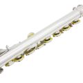 Western Concert Flute Cupronickel Plated Silver 16 Holes C Key Woodwind Instrument - silver. 