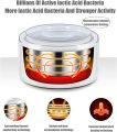 1.5L Electric Yogurt Maker (Doi Maker),Automatic Multifunction Yogurt Machin and Stainless Steel Liner,,Constant Temperature Heating, for Making Fresh, Healthy Homemade Desserts.