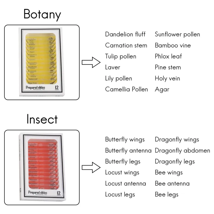 48pcs%20Kids%20Plastic%20Prepared%20Microscope%20Slides%20Of%20Animals%20Insects%20-%20Image%204