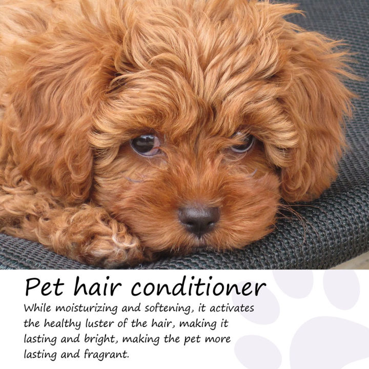 50ml%20Cat%20Dog%20Soft%20Hair%20Conditioning%20Cream%20Gentle%20Dog%20Skim%20Cream%20Oil%20Stain%20Remover%20Pet%20Supplies%20for%20Moisturizes%20Matted%20Hair%20-%20Image%204