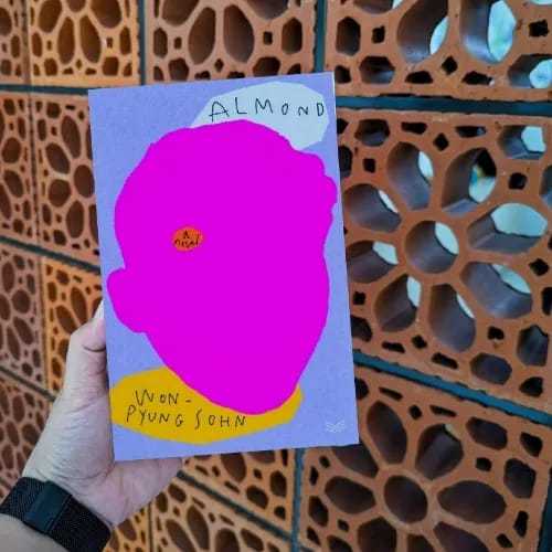 Almond ( Book by Sohn Won-Pyung ) ( Premium Quality and Matte Cover )