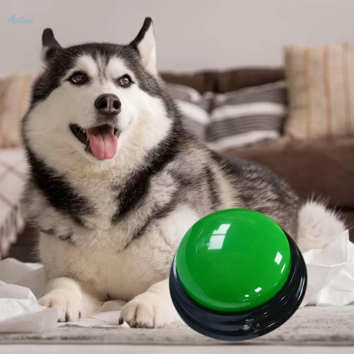 Interactive%20Toy%20Pet%20Training%20Communication%20Message%20Recording%20Sound%20Button%20-%20Image%204