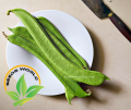 Sword Beans (Mow Sim) Traditional Seed-10 Seeds / Bean Seeds - Seeds. 
