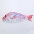 Fish Pencil Bag Crucian Carp Pencil Box Salted Fish Pencil Case Fish Shape Storage Bag Korean Creative Imitation pencil Bag.