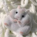 MoupBoi Taba Squishy Toy Mochi Toy Mushy Silicone Fuzzy Cute Hamster Handmade Squishy Toy Tabby Hamster Stress Release Hand Relax Gifts. 