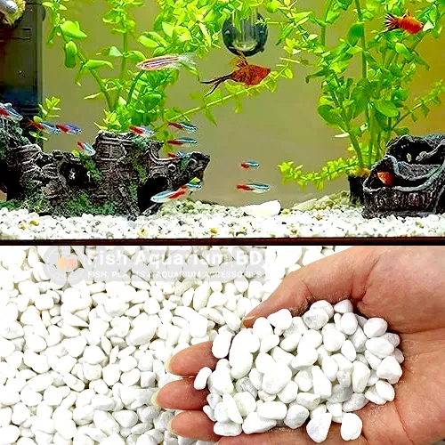White Stone for Aquarium decoration | Daraz.com.bd