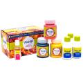 Fevicryl Acrylic Fluid Pouring Kit.