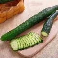 High Germination Best Quality Green Cucumber Seed F1 Hybrid Intake Paket Seeds. 