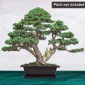 Bonsai flower pot 9 Inchi with Tray.