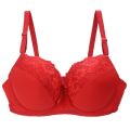 Womens Underwear 34/75 36/80 38/85 40/90 42/95 44/100 BCDE Cup Bras Lace Bra For Ladies Plus Size Lingerie. 