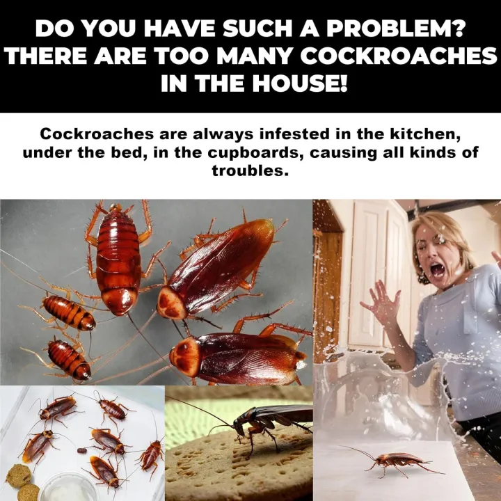 Fast%20Killer%20Cockroach%20Bait%20Gel%20fast%20killer%20Gel%20Cockroach%20Killer%208%20Piece%20Powerful%20Roach%20Control%20Gel%20for%20Kitchen%20&%20Washroom%20%7C%20Fast-Acting,%20Easy%20to%20Use,%20Long-Lasting%20Formula%20%7C%20Gel-Coated%20Cockroach%20Killing%20Gel%20%7C%20Say%20Goodbye%20to%20Roaches%20Instantly%20-%20Image%207