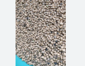 Soybean Seeds 1 Kg. 