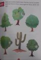 Plants and Trees Activity Book. 