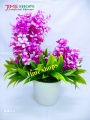 Double Head Artificial Colorful Flower With Green Leaves In Plastic Vases-28Cm/11Inc -  Home Decoration Item. 