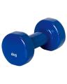 Vinyl Dumbbell - 4 kg. 