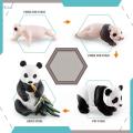 panda Model 4 Stages of Panda Playset Science Educational Toys Animal Growth Cycle Models. 