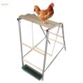 Chicken Roosting Perch Multifunctional Sturdy Premium Funny Chicken Toy Standing Chicken Roost for. 