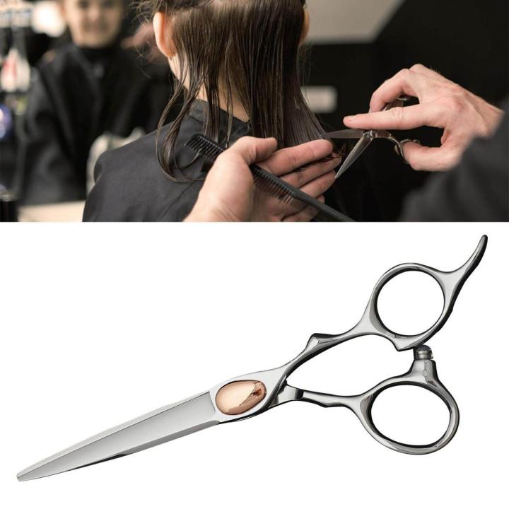 Professional Hair Cutting Scissors Smooth Haircut Thinning Shears for Hairstylist Pets