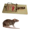 1 Pcs Reusable Rat Catching Mice Mouse Traps Mousetrap Bait Snap Spring Rodent Catcher Pest Control Products(S).