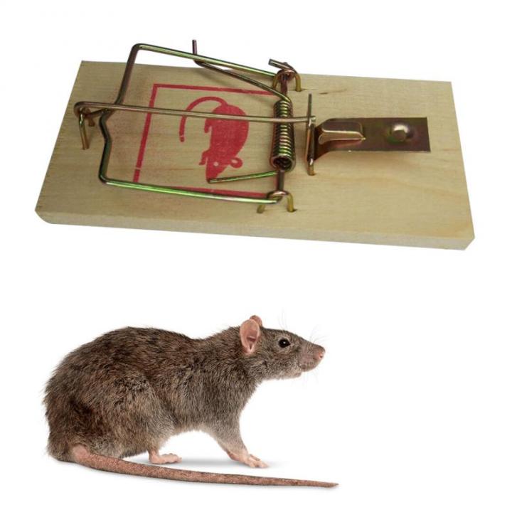 1%20Pcs%20%20Reusable%20Rat%20Catching%20Mice%20Mouse%20Traps%20Mousetrap%20Bait%20Snap%20Spring%20Rodent%20Catcher%20Pest%20Control%20Products%EF%BC%88S%EF%BC%89%20-%20Image%203