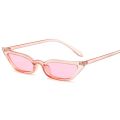 DYTYMJ New Cat Eye Small Frame Sunglasses Women Trendy Sunscreen Sunglasses Men Jelly Color Vintege Punk Gafas De Sol Mujer. 