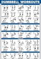 Dumbbell Workout Eercise Poster Laminated Free Weight Body Building Guide Home Gym Chart Double Sid 0415pm. 