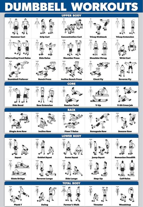 Dumbbell%20Workout%20Eercise%20Poster%20Laminated%20Free%20Weight%20Body%20Building%20Guide%20Home%20Gym%20Chart%20Double%20Sid%200415pm%20-%20Image%202